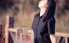 快播怎么看大黄